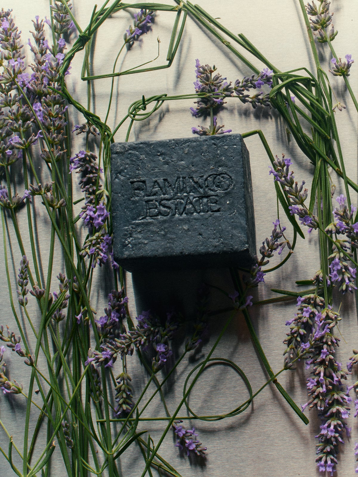 Soap Brick Duo
