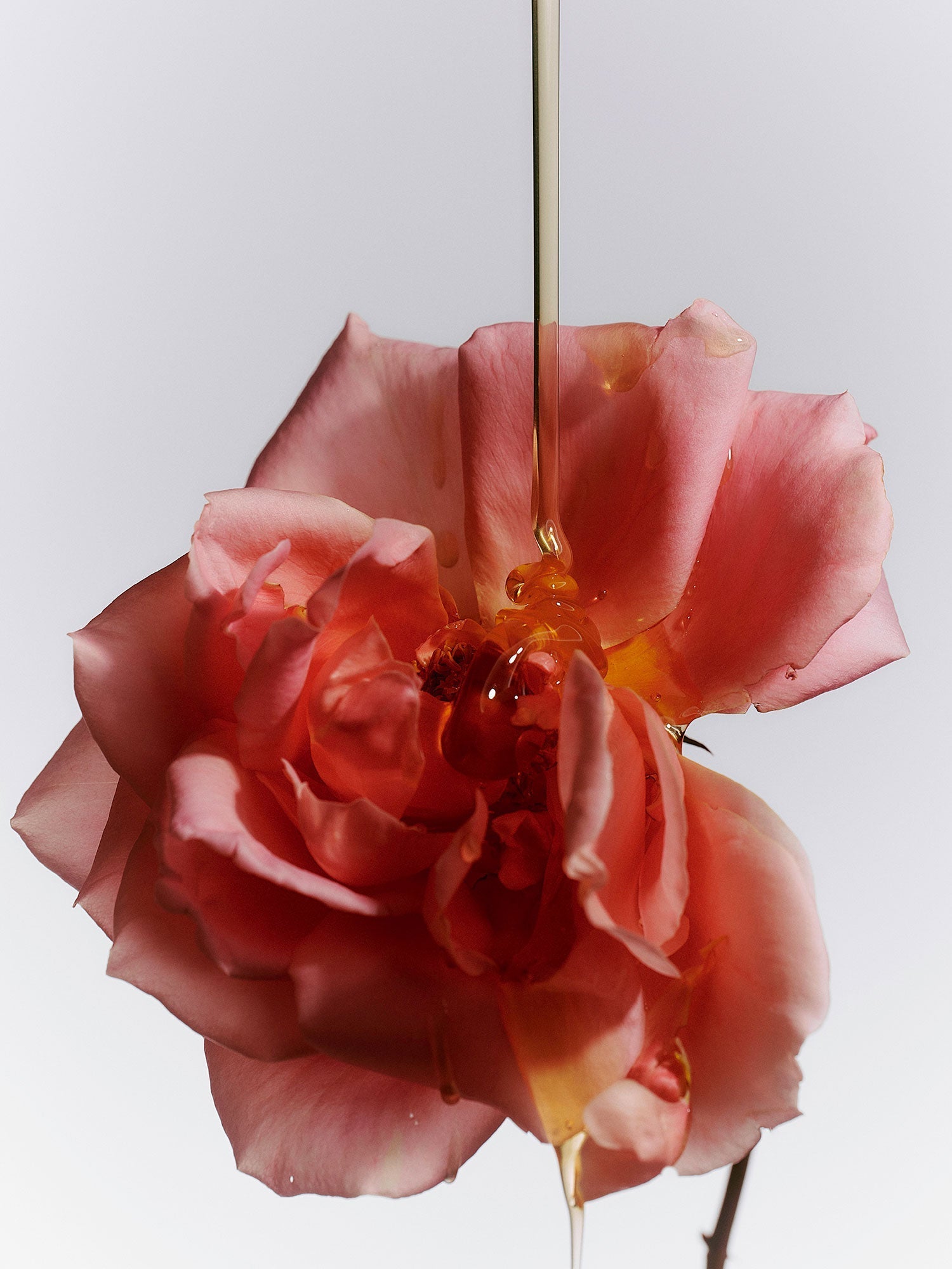 Jasmine Damask Rose Hand Soap