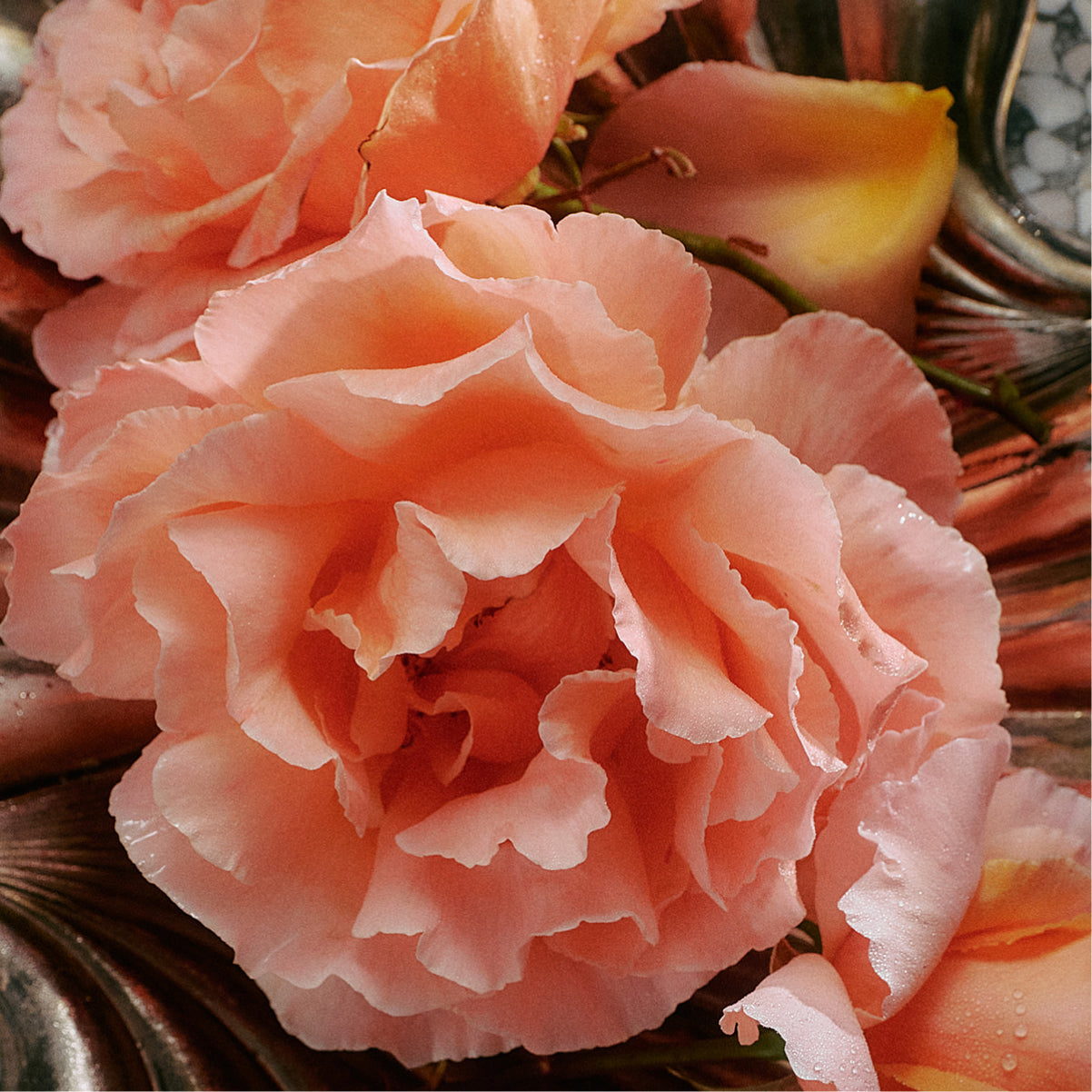 Jasmine Damask Rose Soap Brick